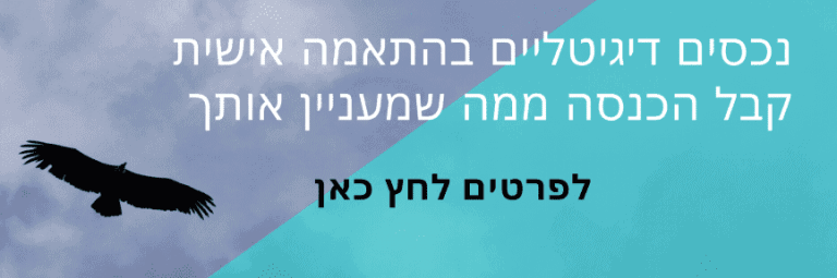 נכס דיגיטלי